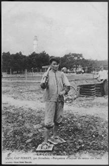 France - Arcachon - Oyster Gatherer