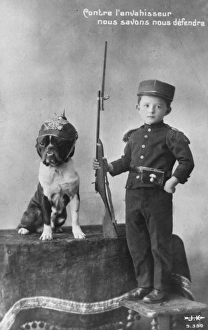 WWI Animals Gallery: French patriotism