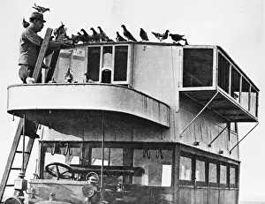 French pigeon communications WWI