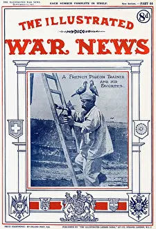 Instinct Prints: French Pigeon Trainer, Illustrated War News, WW1