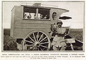 Regimental Gallery: French regimental pigeonnier releasing a carrier pigeon