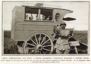 Sending Prints: French regimental pigeonnier releasing a carrier pigeon