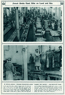 Explosives Gallery: French shells used on Land and Sea WWI
