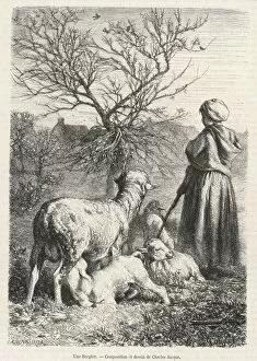Minds Collection: French Shepherdess