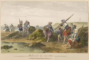 French Shrimpers