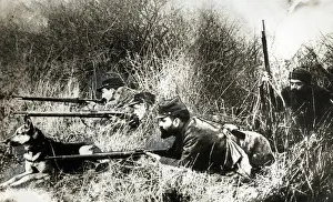 Aiming Prints: French soldiers with Alsatian dog, WW1