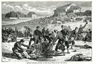 Generals Prints: French Soldiers Cutting Dead Horses Franco Prussian