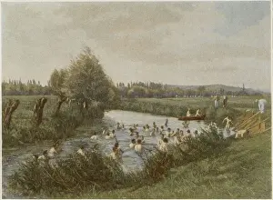French Soldiers Swimming