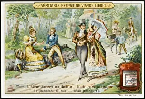 French Walk in Woods