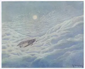 French Warplane in Cloud