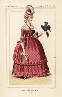 1788 Gallery: French woman in court costume with parrot