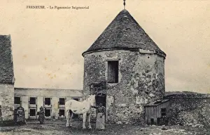 Dovecote Prints: Freneuse, France - The Pigeon