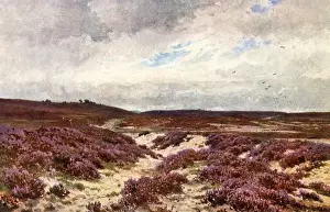 Heather Prints: Frensham Common Heather
