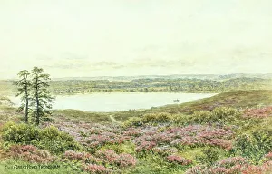 Frensham Pond, Surrey