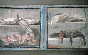 Fresco, wall, paintings, from, Pompeii, depicting, Roman, foods, including, game