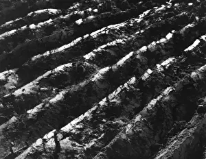 Furrows Prints: Fresh Furrows