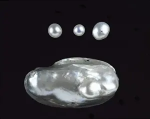 Freshwater pearls