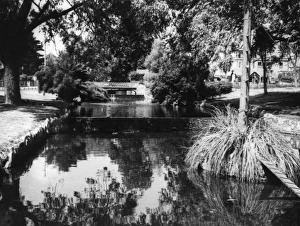 Images Dated 28th March 2011: Freshwater Trout Stream