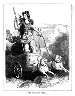 Norse Mythology Collection: Freya in her Chariot