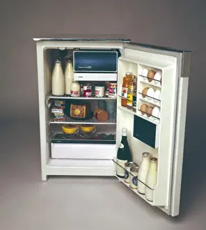 Eggs Prints: FRIDGE 1970S