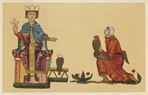 Friedrich II & Falcons