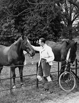 Wayside Prints: Friendly Horses