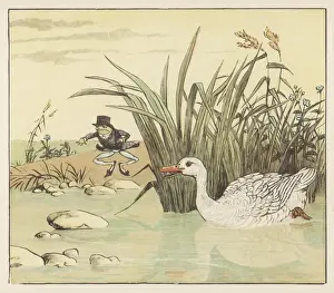 Frog A-Wooing 1 / 4