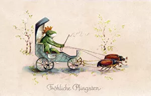 Beetles Gallery: Frog driving coach on a German Whitsuntide postcard