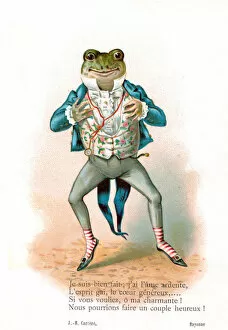 Reptiles Gallery: Frog in human clothing on a French postcard