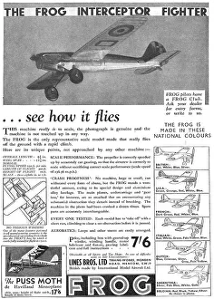 Interceptor Prints: The Frog Interceptor