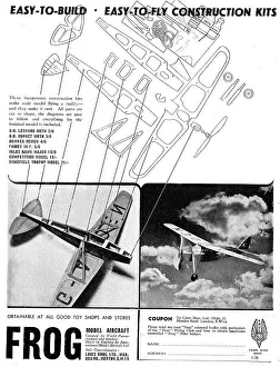 Frog Model Aircraft