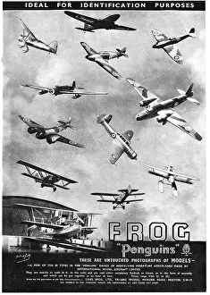 Frog Model Aircraft