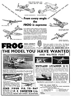 Frog Model Aircraft