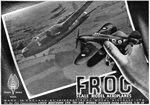 Frog Model Aircraft