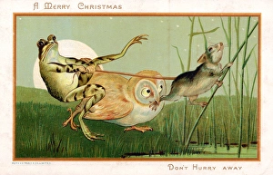 Survival Gallery: Frog, owl and mouse in moonlight on a Christmas card