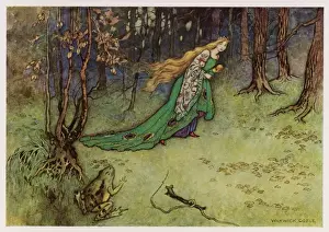 Runs Prints: Frog Prince (Goble)