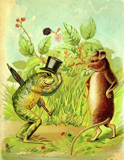 Frog Gallery: The Frog and the Rat