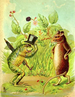 Images Dated 22nd August 2019: The Frog and the Rat
