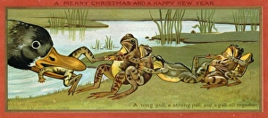 Survival Gallery: Frog rescue on a Christmas and New Year card