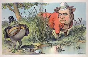 The frog who tried to be as big as a bull