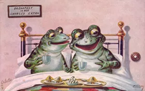 Breakfast Gallery: Two frogs in bed on a greetings postcard