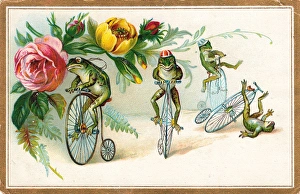 Four frogs on bicycles with flowers on a greetings card Four frogs on bicycles with flowers on a greetings card