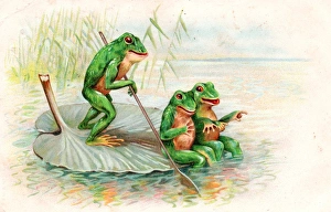 Lily Gallery: Three frogs boating on a lily leaf on a postcard