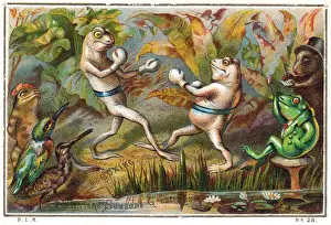 Toadstool Prints: Frogs boxing on a Christmas card