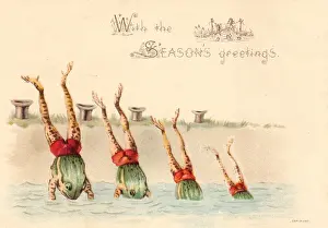 Sizes Prints: Four frogs diving on a Christmas card