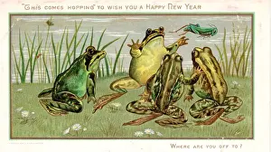 Daisies Prints: Frogs and grasshopper on a New Year card