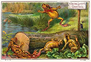 Frogs playing hide and seek on a Christmas card