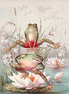 Leaping Gallery: Two frogs playing leapfrog on a greetings card