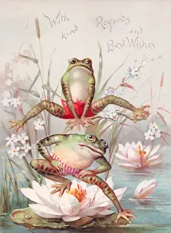 Wishes Prints: Two frogs playing leapfrog on a greetings card