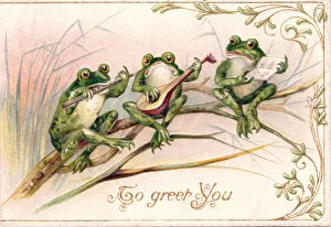 Anthropomorphism Collection: Three frogs playing music on a greetings postcard